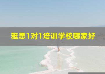 雅思1对1培训学校哪家好