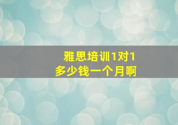 雅思培训1对1多少钱一个月啊