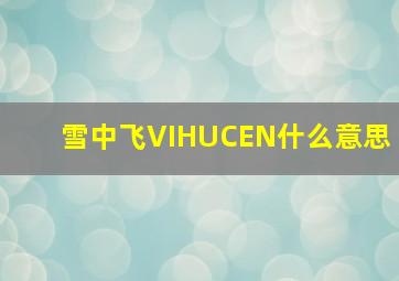 雪中飞VIHUCEN什么意思