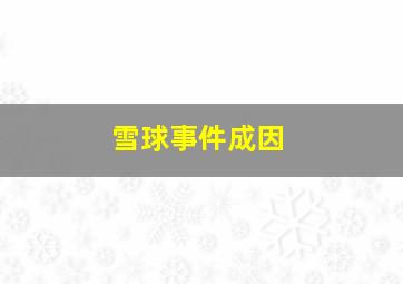 雪球事件成因