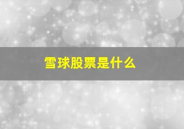 雪球股票是什么