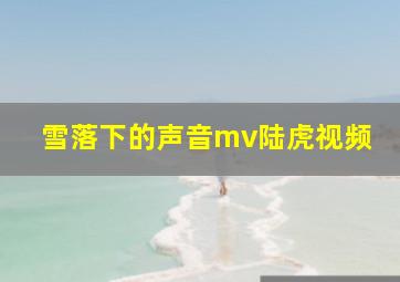 雪落下的声音mv陆虎视频