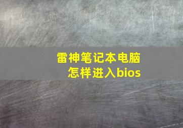 雷神笔记本电脑怎样进入bios