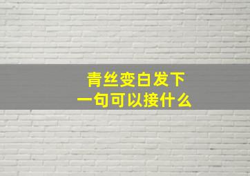 青丝变白发下一句可以接什么