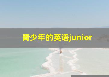 青少年的英语junior