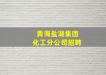 青海盐湖集团化工分公司招聘