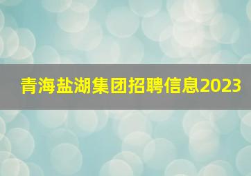 青海盐湖集团招聘信息2023