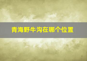 青海野牛沟在哪个位置