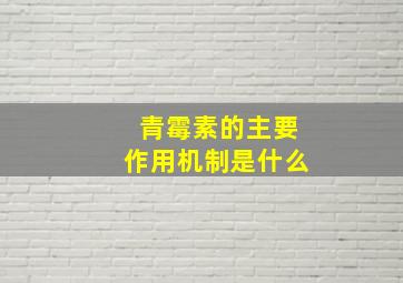 青霉素的主要作用机制是什么