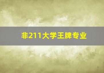 非211大学王牌专业