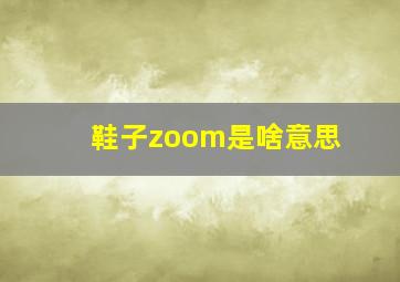 鞋子zoom是啥意思