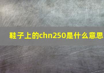 鞋子上的chn250是什么意思