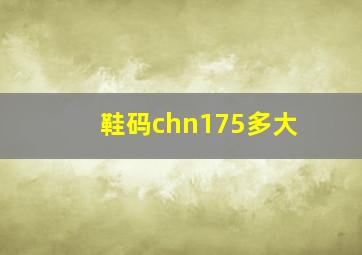 鞋码chn175多大