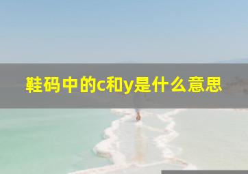 鞋码中的c和y是什么意思