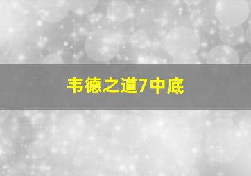 韦德之道7中底