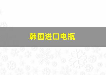 韩国进口电瓶