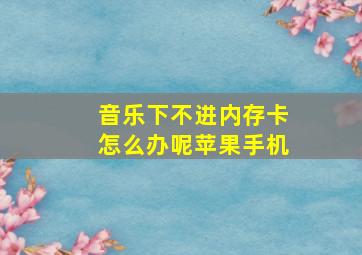 音乐下不进内存卡怎么办呢苹果手机