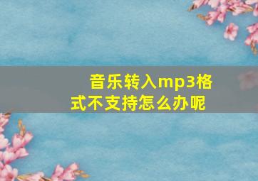 音乐转入mp3格式不支持怎么办呢