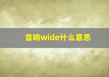 音响wide什么意思