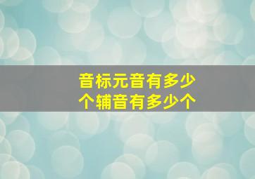 音标元音有多少个辅音有多少个