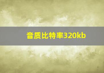 音质比特率320kb