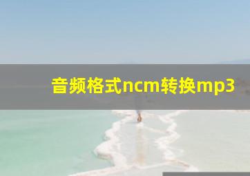 音频格式ncm转换mp3