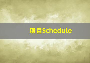 项目Schedule