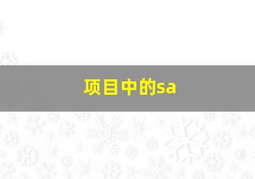 项目中的sa