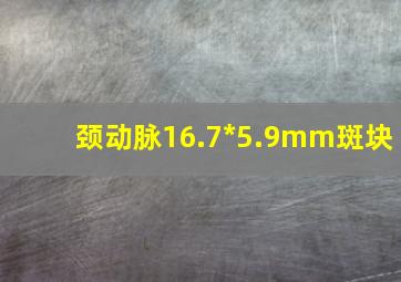 颈动脉16.7*5.9mm斑块