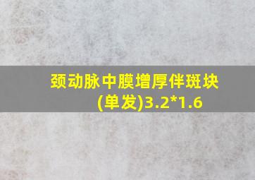 颈动脉中膜增厚伴斑块(单发)3.2*1.6