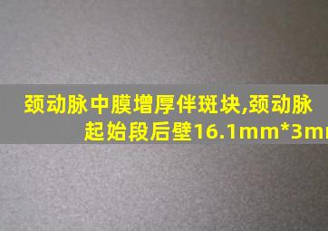 颈动脉中膜增厚伴斑块,颈动脉起始段后壁16.1mm*3mm