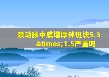 颈动脉中膜增厚伴斑块5.3×1.5严重吗