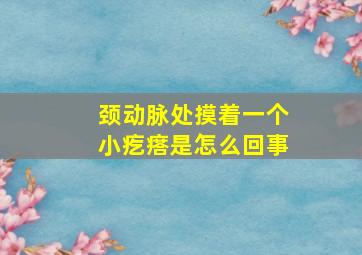 颈动脉处摸着一个小疙瘩是怎么回事