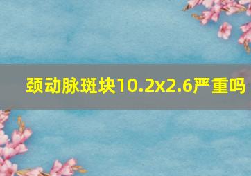 颈动脉斑块10.2x2.6严重吗