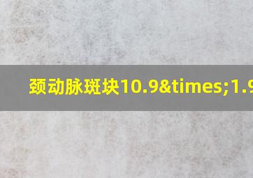 颈动脉斑块10.9×1.9mm