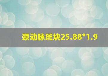 颈动脉斑块25.88*1.9