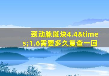 颈动脉斑块4.4×1.6需要多久复查一回