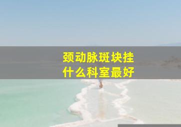 颈动脉斑块挂什么科室最好