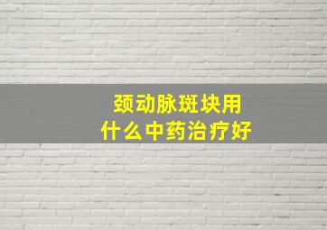 颈动脉斑块用什么中药治疗好