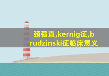 颈强直,kernig征,brudzinski征临床意义