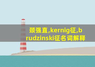 颈强直,kernig征,brudzinski征名词解释