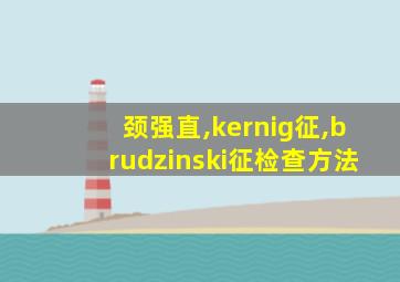 颈强直,kernig征,brudzinski征检查方法