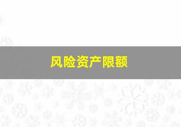 风险资产限额