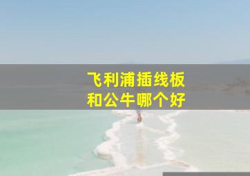 飞利浦插线板和公牛哪个好