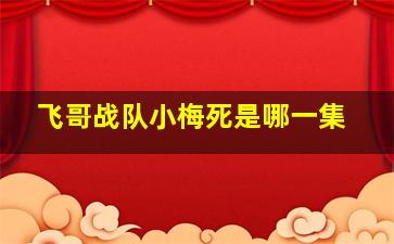 飞哥战队小梅死是哪一集