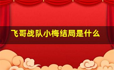 飞哥战队小梅结局是什么