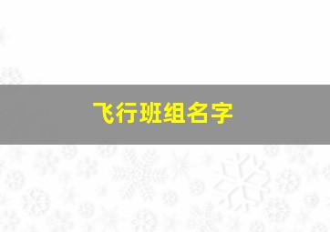 飞行班组名字