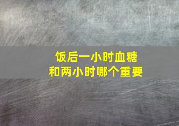 饭后一小时血糖和两小时哪个重要