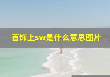 首饰上sw是什么意思图片