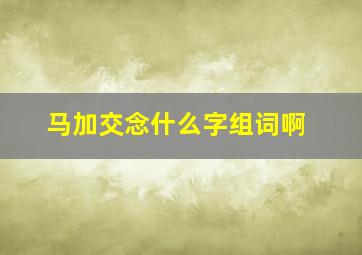 马加交念什么字组词啊